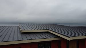 Best Metal Roofing Installation  in Window Rock, AZ